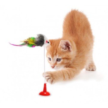 Vantuzlu Kedi Fare Oyuncağı