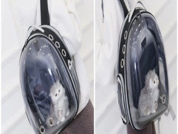 Fileli Açılabilir Şeffaf Astronot Kedi Köpek Taşıma Çantası