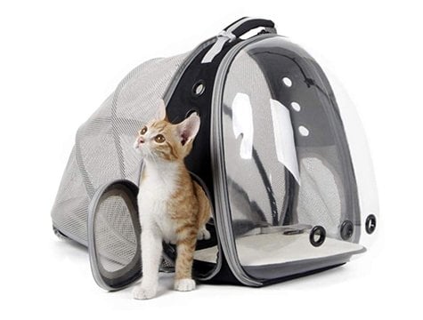 Fileli Açılabilir Şeffaf Astronot Kedi Köpek Taşıma Çantası