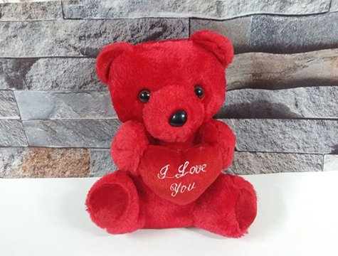 Sevimli Peluş Ayıcık