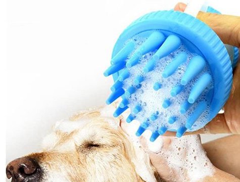 Şampuan Hazneli Kedi Köpek Masaj Ve Yıkama Fırçası