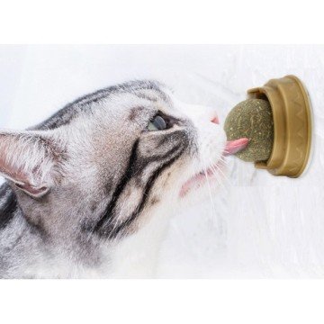 Kedi Nanesi Oyun Topu (Cat Mint)