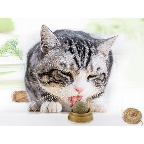 Kedi Nanesi Oyun Topu (Cat Mint)