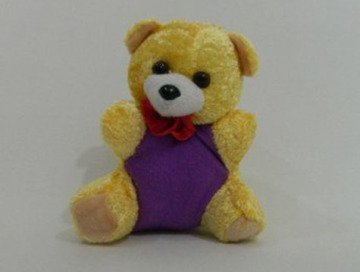 Sevgiliye Peluş Ayıcı (20 cm 25 cm)