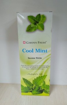 Garden Fresh Cool Mint Kokulu Çubuk Tütsü İncense Sticks (120 Adet)