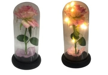 Cam Fanus İçinde Işıklı Pembe Gül Biblosu