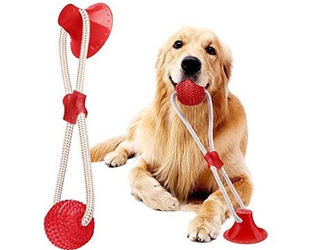 Vantuzlu Top Köpek Oyuncağı