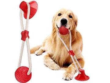 Vantuzlu Top Köpek Oyuncağı