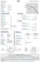 22 kw 30 HP 1500 GAMAK IE3 Trifaze Motor