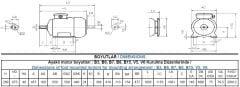 132 kw 180 HP 1500 GAMAK IE4 Döküm Trifaze Motor