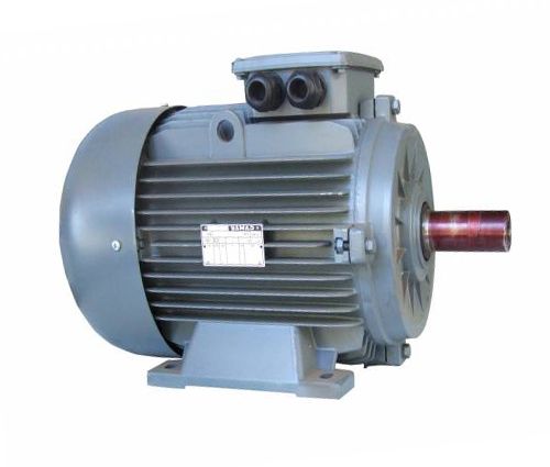 GAMAK 22 kw 30 HP 1000 d/d IE3 Döküm Gövdeli Trifaze Motor