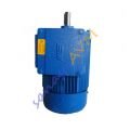 15 kw (20 HP) 3000 d/d B3 MARELLI Ex-proof Motor