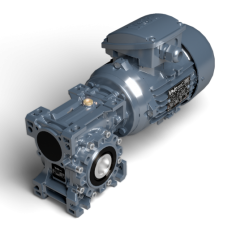 1.1 kw Monofaze ESV-063 Volt Redüktörlü Motor