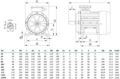 MİKSAN 0.37 kw 0.5 HP 3000 Elektrik Motoru