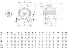 MİKSAN 1.1 kw 1.5 HP 3000 Elektrik Motoru