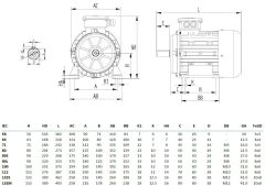 MİKSAN 2.2 kw 3 HP 3000 Elektrik Motoru