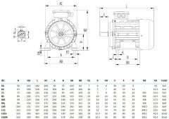 MİKSAN 7.5 kw 10 HP 3000 Elektrik Motoru