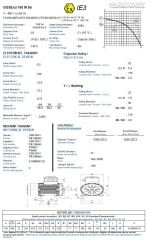 GAMAK 5.5 kw 7.5 HP 750 Exproof Motor