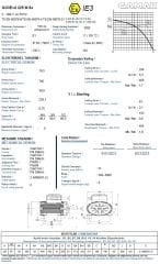GAMAK 18.5 kw 25 HP 750 Exproof Motor