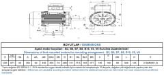 GAMAK 22 kw 30 HP 750 Exproof Motor