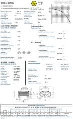 GAMAK 0.37 kw 0.5 HP 1000 Exproof Motor