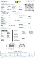 GAMAK 1.5 kw 2 HP 1000 Exproof Motor