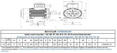 GAMAK 4 kw 5.5 HP 1000 Exproof Motor