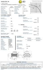 GAMAK 22 kw 30 HP 1000 Exproof Motor