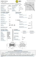 GAMAK 5.5 kw 7.5 HP 1500 Exproof Motor