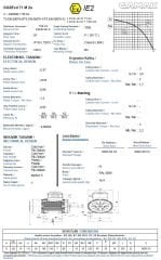 GAMAK 0.37 kw 0.5 HP 3000 Exproof Motor