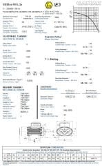GAMAK 3 kw 4 HP 3000 Exproof Motor