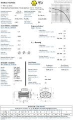 GAMAK 7.5 kw 10 HP 3000 Exproof Motor