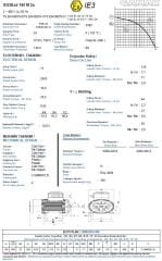 GAMAK 11 kw 15 HP 3000 Exproof Motor