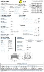 GAMAK 15 kw 20 HP 3000 Exproof Motor