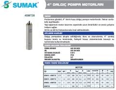 Sumak 4'' Paslanmaz Derin Kuyu Dalgıç Motoru