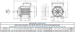 GAMAK 1.1 kw 1.5 HP 3000 Monofaze Motor