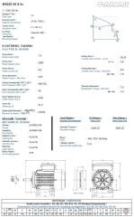 GAMAK 1.5 kw 2 HP 3000 Monofaze Motor