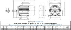 GAMAK 2.2 kw 3 HP 3000 Monofaze Motor