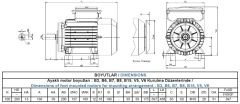 GAMAK 3 kw 4 HP 3000 Monofaze Motor