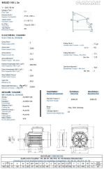 GAMAK 3 kw 4 HP 3000 Monofaze Motor