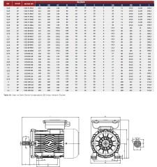VOLT 1.1 kw 1.5 HP 1500 Monofaze Motor