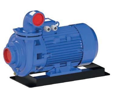 SUMAK SMT1000/3 Trifaze Santrifüj Pompa