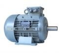VOLT 18,5 kw 25 HP 3000 Trifaze Motor