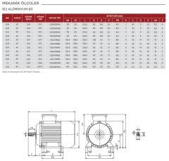VOLT 0,25 kw 1500 Trifaze Motor