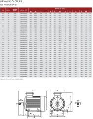 VOLT 18.5 kw 25 HP 1500 Döküm Trifaze Motor