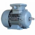 0,25 kw (0,35 HP) 1000 d/d VOLT Trifaze Motor