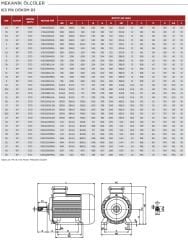 VOLT 15 kw 20 HP 1000 Döküm Trifaze Motor