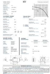 22 kw 30 HP 3000 GAMAK Trifaze Motor