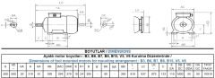 30 kw 40 HP 3000 GAMAK Trifaze Motor