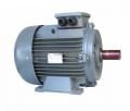 15 kw 20 HP 3000 d/d GAMAK IE3 Döküm Trifaze Motor